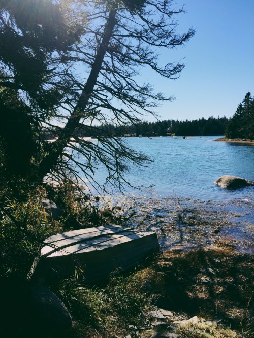 A serene lakeside scene with clear blue water, rocky shore, and trees under a bright blue sky.