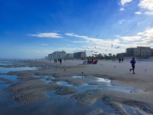 A beach scene with people walking, a group gathered, and seagulls flying under a blue sky with scattered clouds.