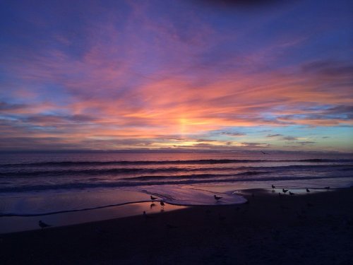 A vibrant sunset over the ocean, with colorful clouds reflecting on the water and seagulls on the beach.