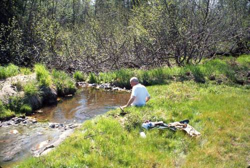 A person sits by a small stream, surrounded by greenery and trees, enjoying a peaceful moment in nature.
