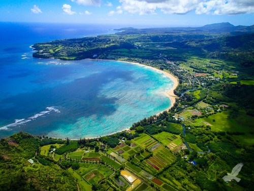 Aerial view of a coastal landscape featuring a sandy beach, turquoise waters, and lush green fields.