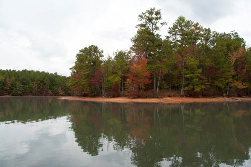 A serene lake surrounded by trees with autumn foliage, reflecting on the calm water under a cloudy sky.
