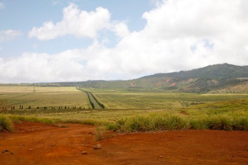 A wide landscape featuring rolling hills, a dirt path, and a cloudy sky, with lush greenery and distant mountains.
