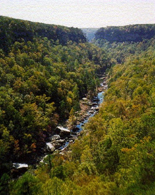 A scenic view of a lush green valley with a winding river surrounded by trees under a clear sky.