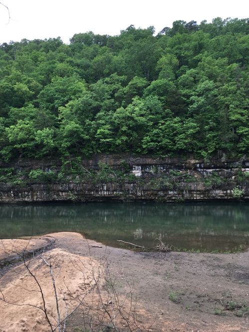Lush green trees line a rocky cliff beside a calm river, reflecting the greenery above.