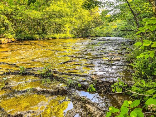 A serene river flows through a lush green forest, with rocky banks and sunlight filtering through the trees.