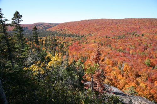 A vibrant autumn landscape with rolling hills covered in colorful red, orange, and yellow foliage under a clear blue sky.