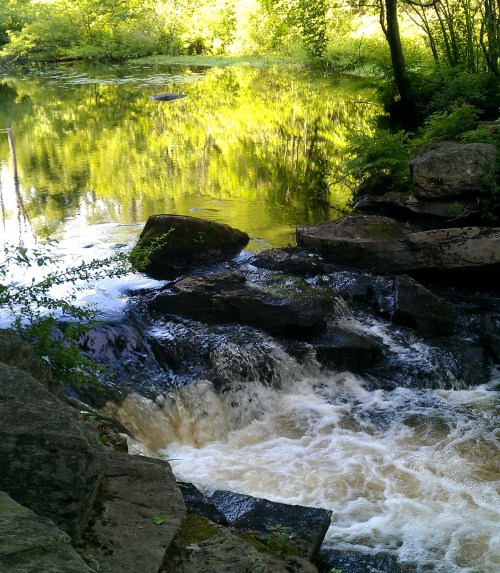 A serene river flows over rocks, surrounded by lush greenery and reflecting trees in the calm water.