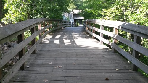 A wooden bridge leads through a lush green forest, with sunlight filtering through the trees.