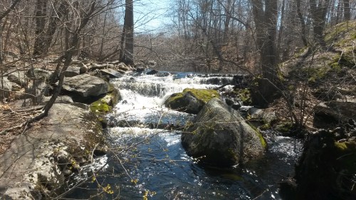 A serene stream flows over rocks in a wooded area, surrounded by trees and sunlight filtering through the branches.