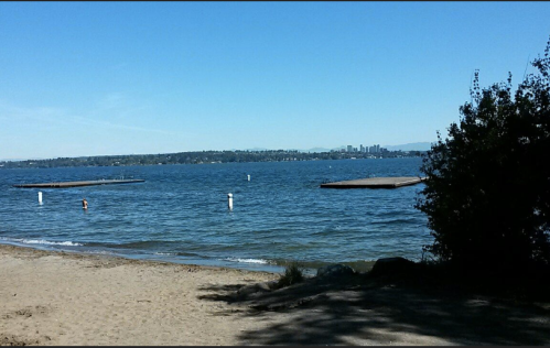 A serene beach scene with calm water, distant city skyline, and wooden docks under a clear blue sky.