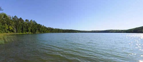 A serene lake surrounded by lush green trees under a clear blue sky. Gentle ripples on the water's surface.