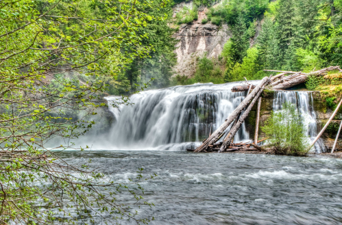 A serene waterfall cascades over rocks, surrounded by lush greenery and fallen logs, creating a tranquil natural scene.