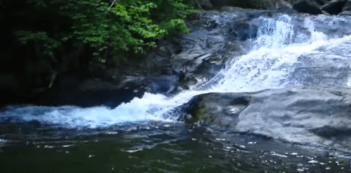 A serene waterfall cascading over rocks into a calm pool, surrounded by lush green foliage.