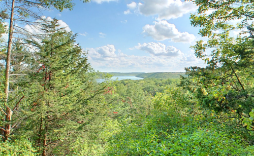 A scenic view of a lush green landscape with trees and a lake under a bright blue sky with fluffy clouds.