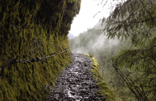 Narrow, muddy trail along a moss-covered cliff with misty forest in the background.