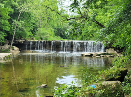 A serene waterfall cascades into a calm pool, surrounded by lush green trees and rocky banks.