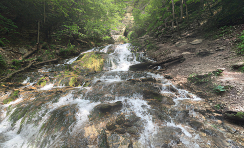A serene waterfall cascading over rocky terrain, surrounded by lush green trees and a peaceful forest setting.