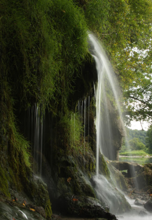 A serene waterfall cascading over rocks, surrounded by lush greenery and trees.