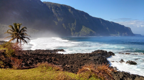A scenic coastal view featuring palm trees, rocky shorelines, and mountains under a clear blue sky.