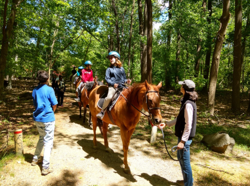 A group of people on horseback in a wooded area, with one person leading a horse and others riding.