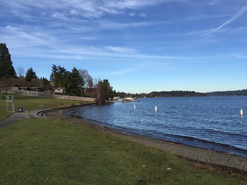 A serene lakeside view with a grassy shore, trees, and boats in the distance under a clear blue sky.