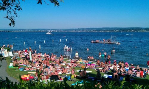 A crowded beach scene with sunbathers on the grass and in the water, under a clear blue sky.
