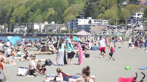 A busy beach scene with people sunbathing, playing, and relaxing on the sand, surrounded by greenery and buildings.