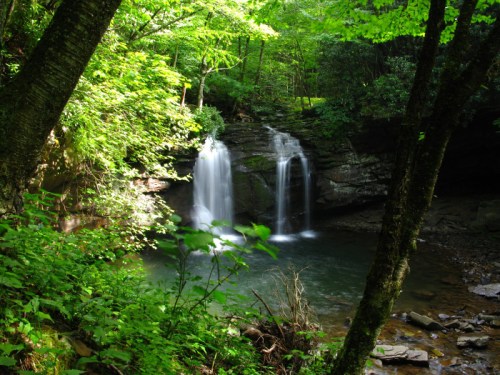A serene forest scene featuring two waterfalls cascading into a clear pool, surrounded by lush green foliage.