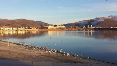A serene lake scene with birds along the shore, mountains in the background, and a clear blue sky.