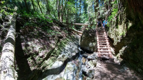 A wooden bridge crosses a rocky stream in a lush forest, with hikers exploring the scenic trail.
