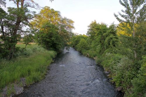 A serene river flows through lush greenery, surrounded by trees and plants under a clear sky.