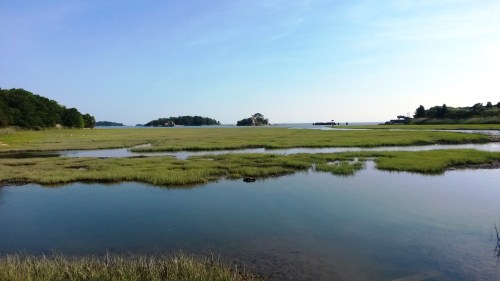 A serene coastal landscape featuring marshland, calm waters, and distant islands under a clear blue sky.
