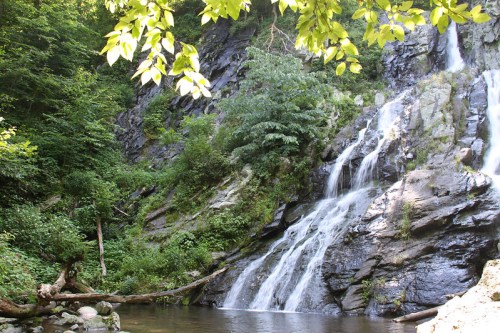 A serene waterfall cascading down rocky cliffs, surrounded by lush green foliage and a calm pool at the base.