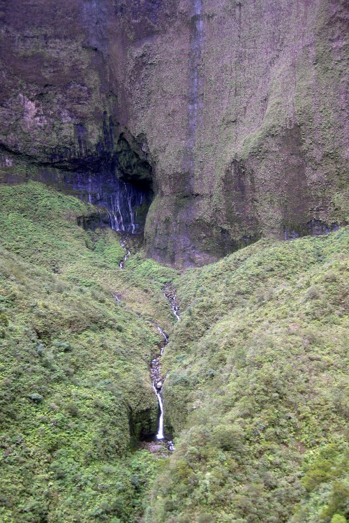 A lush green valley with steep, moss-covered cliffs and a small waterfall cascading down into the greenery below.