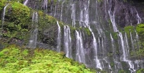 A lush green landscape featuring cascading waterfalls flowing down a rocky cliff.
