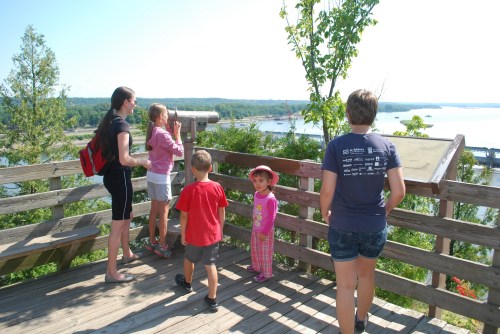 A group of children and adults stand on a wooden lookout, enjoying a scenic view of a river and landscape.