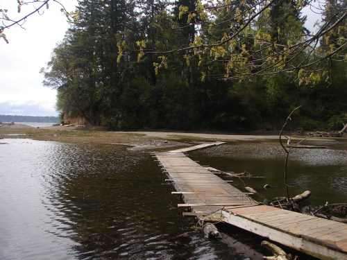 A wooden walkway extends over calm water, surrounded by lush greenery and trees, leading into a serene natural landscape.
