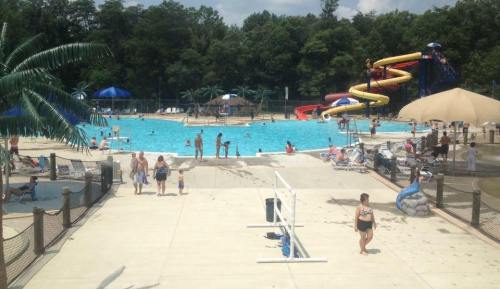 A busy outdoor pool area with slides, palm trees, and people enjoying the water on a sunny day.