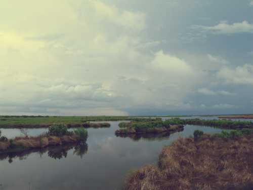 A serene landscape featuring a calm river winding through grassy wetlands under a cloudy sky.