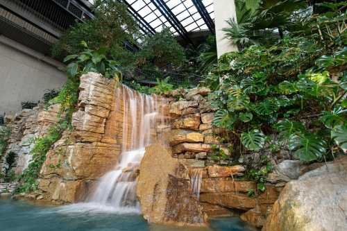 A serene indoor waterfall cascades over rocks, surrounded by lush greenery and tropical plants.