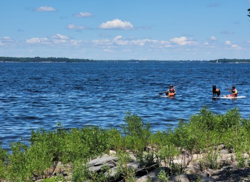Two people kayak on a calm blue lake under a clear sky, surrounded by greenery and rocky shoreline.