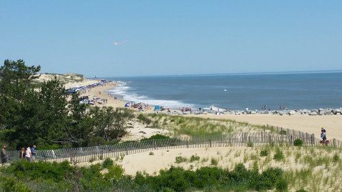 A sunny beach scene with people, umbrellas, and gentle waves, bordered by sand dunes and greenery.