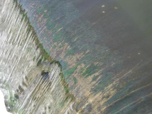 Close-up of a textured surface with water flowing over it, showing green moss and natural patterns.
