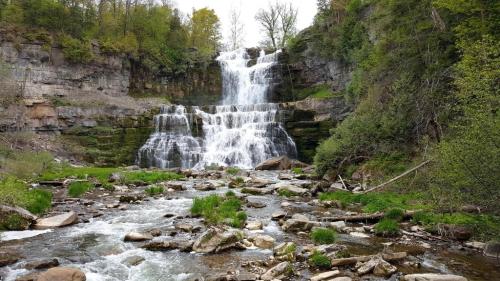 A scenic waterfall cascading down rocky cliffs, surrounded by lush greenery and a flowing river below.