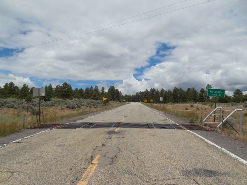 A deserted road stretches ahead, flanked by trees and shrubs, under a cloudy sky with a sign indicating "Fort Jones."