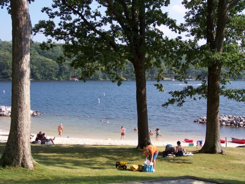 A serene lakeside scene with people swimming, sunbathing, and enjoying the beach under tall trees.