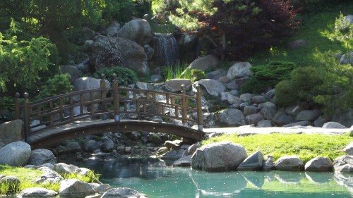 A serene garden scene featuring a wooden bridge over a pond, surrounded by lush greenery and a small waterfall.