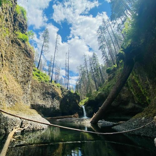 A serene canyon with tall trees, a calm river, and a waterfall under a bright blue sky with scattered clouds.