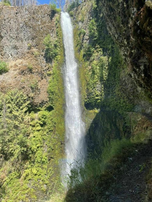 A tall waterfall cascades down a rocky cliff, surrounded by lush greenery and sunlight filtering through the trees.